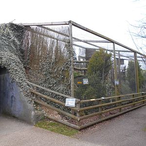 Owl aviaries - March 15th 2016
