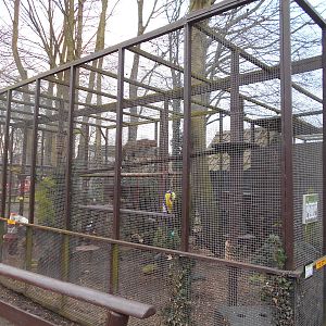 Scottish Wildcat enclosure - March 15th 2016