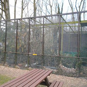 European Polecat enclosure - March 15th 2016