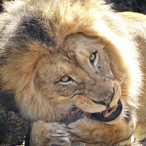 Mar. 2016 - Africa - John