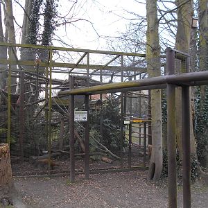 Pine Marten enclosure - March 15th 2016