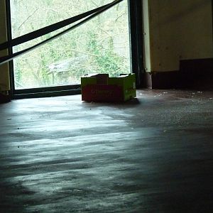 Orangutan enrichment, March 2016