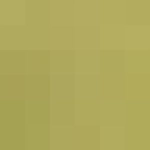 Gorilla Baby With Mum