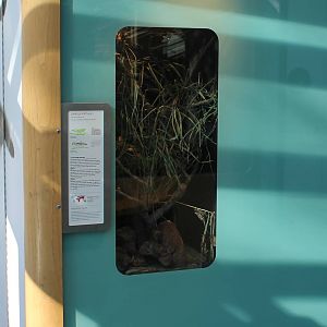 Enclosure Migratory locust