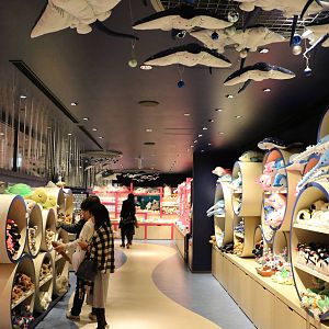 Gift shop - EPSON Aqua Park, February 2016