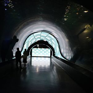 Walkthrough tunnel - EPSON Aqua Park, February 2016