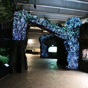 Freshwater displays - EPSON Aqua Park, February 2016