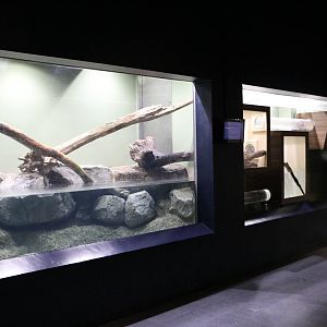 ASCO enclosure - EPSON Aqua Park, February 2016