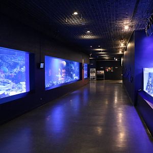 Reef tanks - EPSON Aqua Park, February 2016