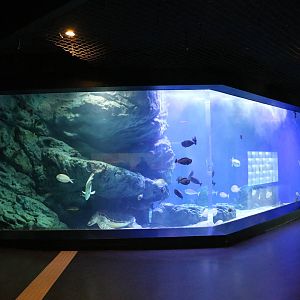 Another reef tank (edge of the reef?) - EPSON Aqua Park, February 2016