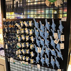 Sawfish magnets - EPSON Aqua Park, February 2016