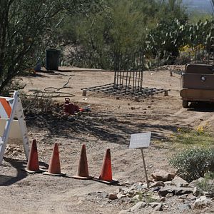 future stingray exhibit