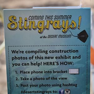 phone photo instructions