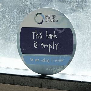 Who would have thought it?