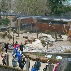 View across to Vulture aviary - Land of the Lions