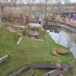 Asiatic Lion enclosure - Land of the Lions