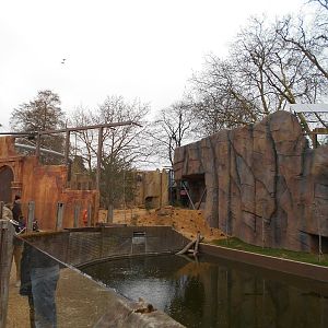 Asiatic Lion enclosure - Land of the Lions