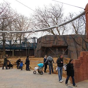 Asiatic Lion enclosure - Land of the Lions