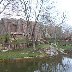 Asiatic Lion enclosure - Land of the Lions