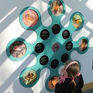 Information wall invebrates