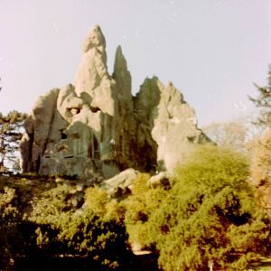 Typical Hagenbeck view