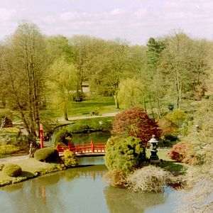 View Japanese Garden