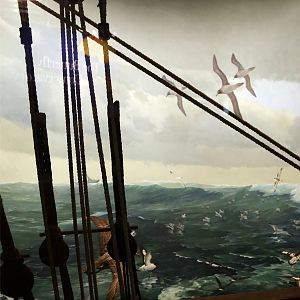 Whitney Hall of Oceanic Birds-Ship Followers