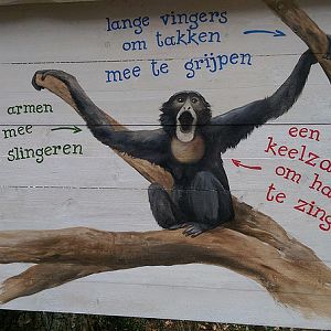 Education panel at the Siamang enclosure