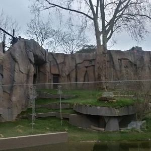 Old lion enclosure