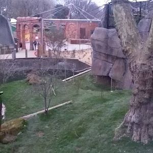 Side view (penguin pool childrens zoo side)