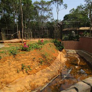 Vinpearl Safari - Indochinese Tiger Moat