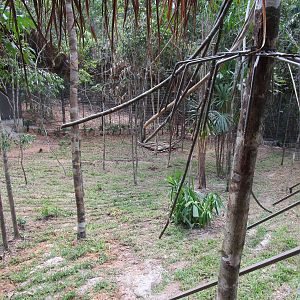 Vinpearl Safari - Fenced Lion Enclosure