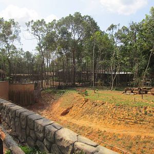 Vinpearl Safari - Bengal Tiger Enclosure