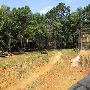 Vinpearl Safari - Bengal Tiger Enclosure