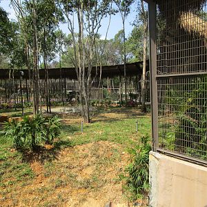 Vinpearl Safari - White Tiger Enclosure