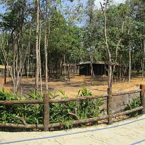 Vinpearl Safari - Common Eland Enclosure