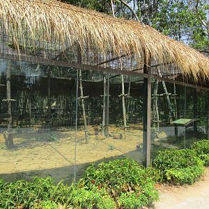 Vinpearl Safari - Serval Enclosure