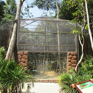Vinpearl Safari - Squirrel Monkey Enclosure