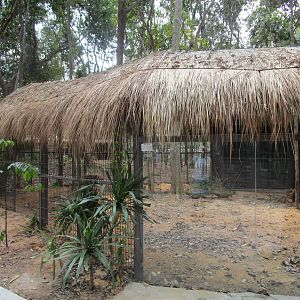 Vinpearl Safari - Bat-eared Fox Enclosure