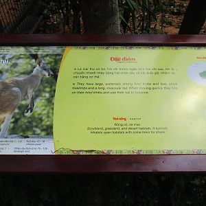 Vinpearl Safari - Nonchalant signage