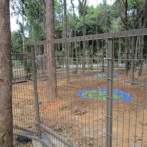 Vinpearl Safari - Kangaroo Enclosure