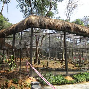Vinpearl Safari - Ring-tailed Lemur Enclosure