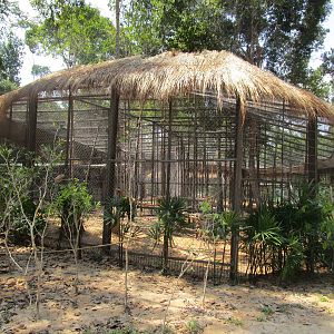 Vinpearl Safari - Primate Enclosure