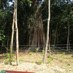 Vinpearl Safari - Botanical Signage