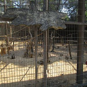 Vinpearl Safari - Long-tailed Macaque Enclosure