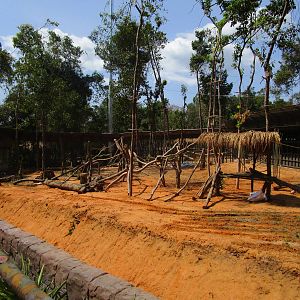 Vinpearl Safari - Gibbon Enclosure