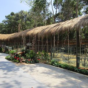 Vinpearl Safari - Hamadryas Baboon Enclosure