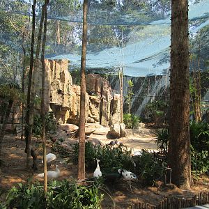 Vinpearl Safari - Third Walkthrough Aviary