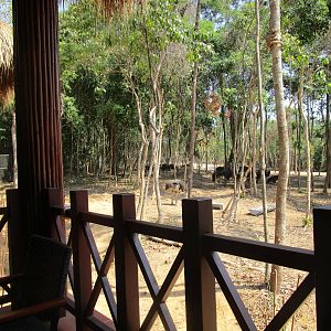 Vinpearl Safari - View from Giraffe Restaurant