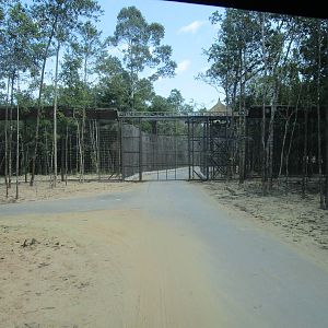 Vinpearl Safari - Entrance to Tiger Reserve